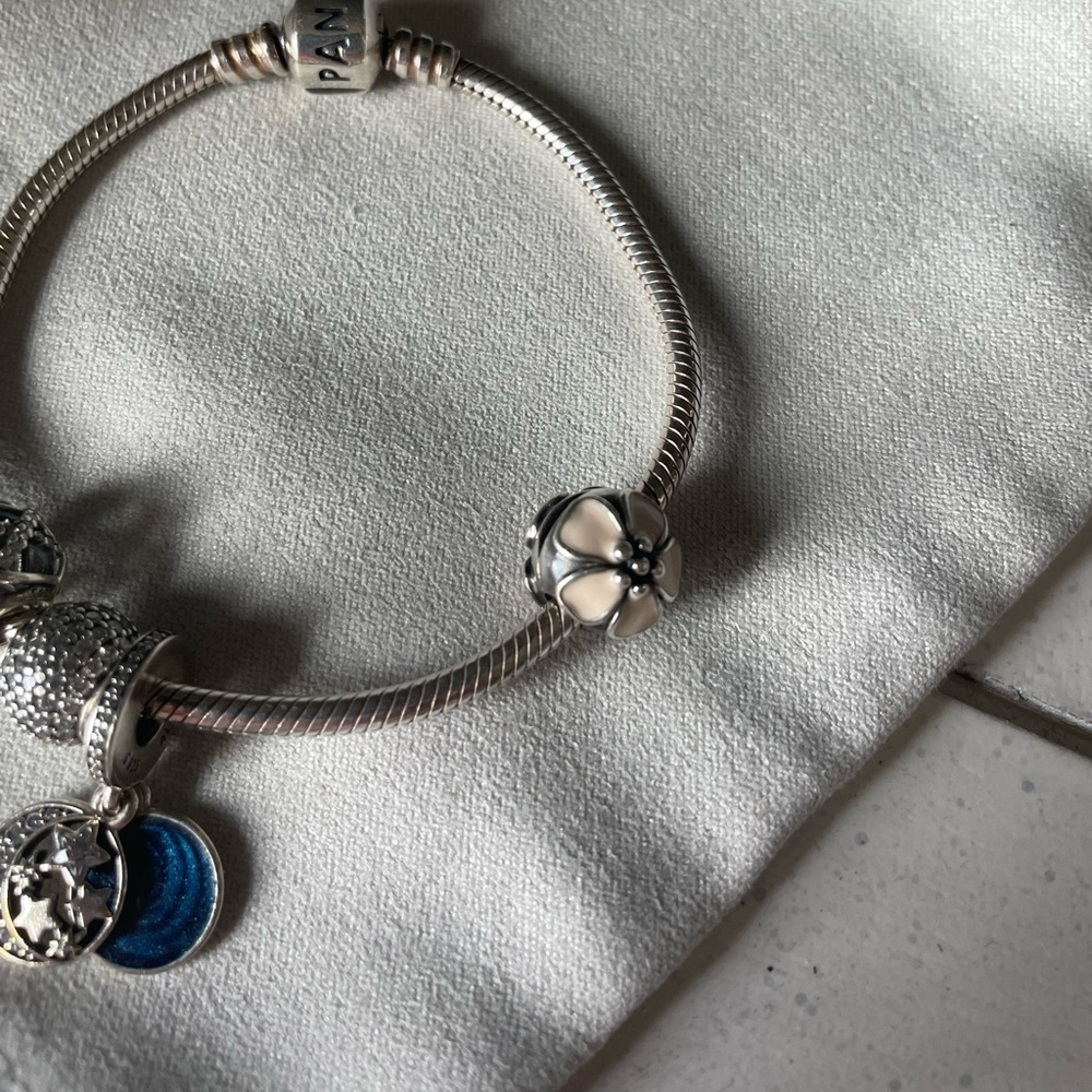 Pandora Bracelet